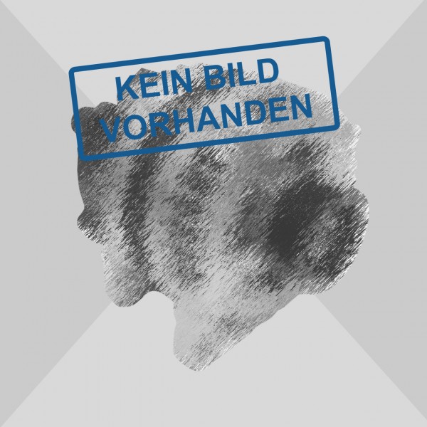 Lichtmaschine FM-Nr.: 53682